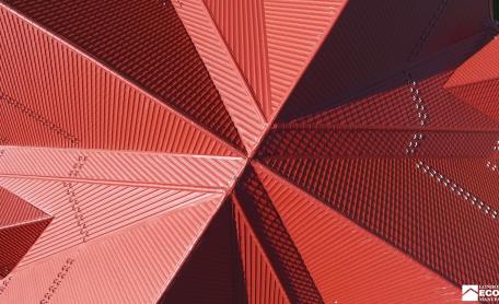 Bingo | Colonial Red